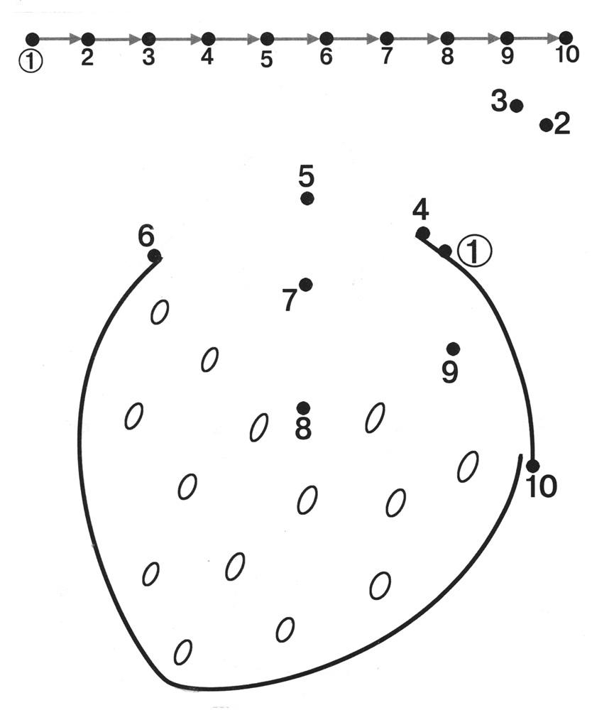 Free Printable Dot to Dot Coloring Pages
