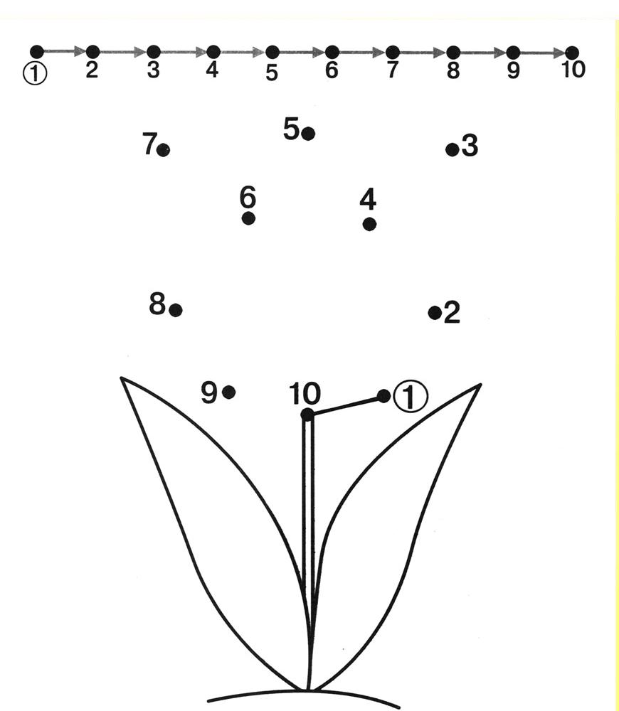 Free Printable Preschool Dot to Dot Worksheets