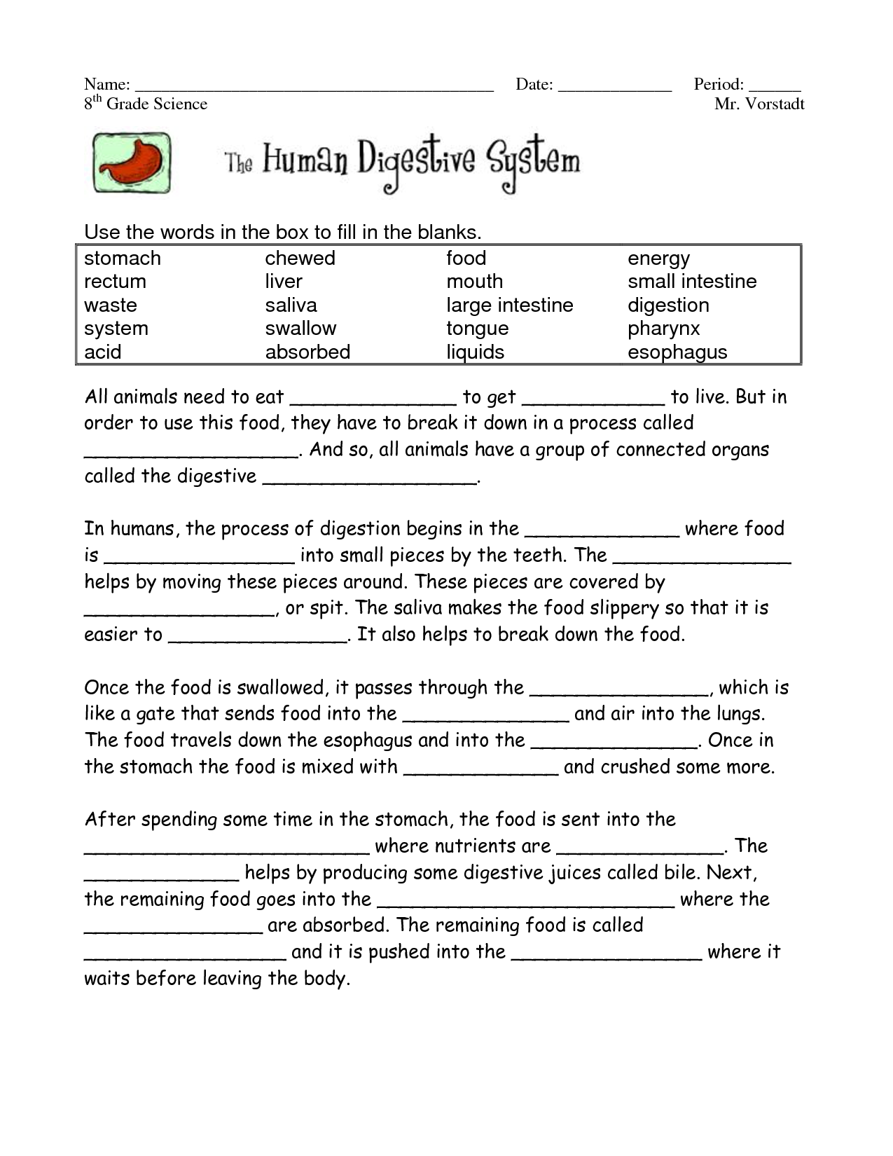 Human Digestive System Worksheet Answers