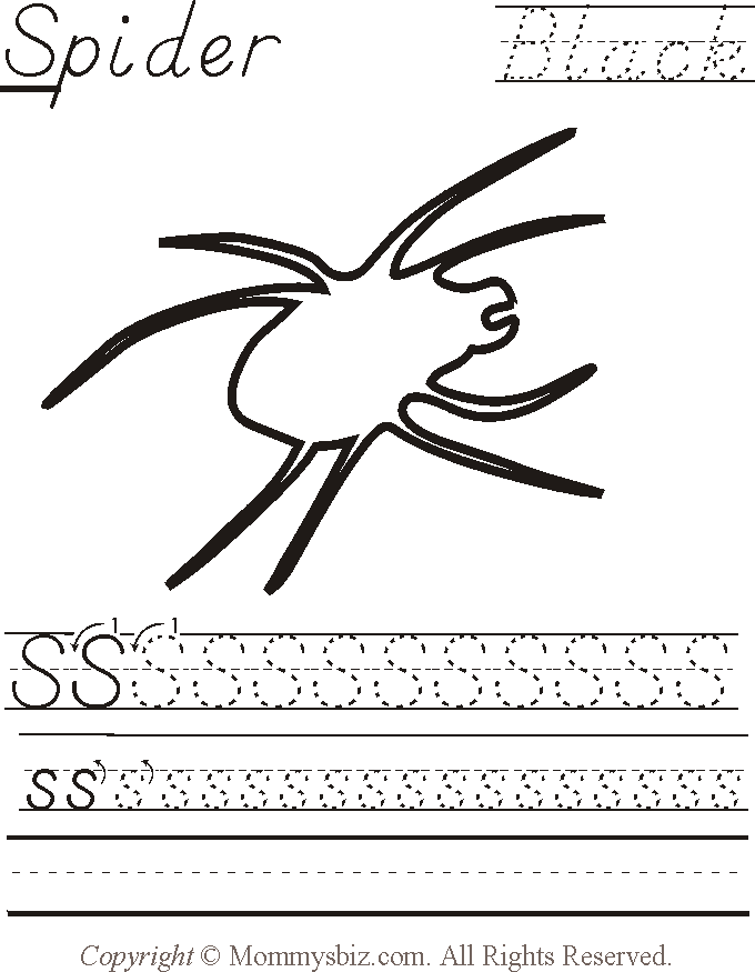 Kindergarten Spider Worksheets Image