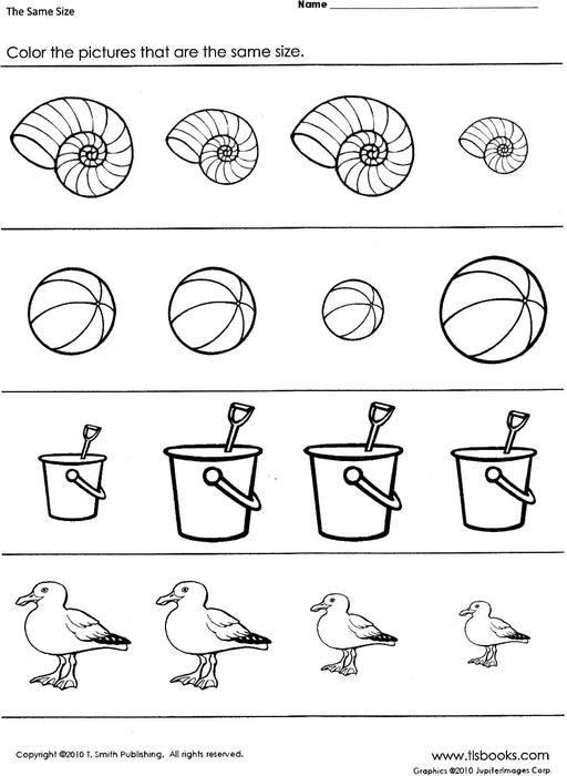 Same Size Worksheets