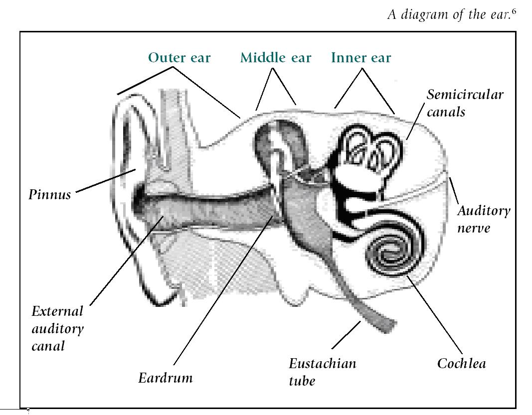 Deafness and Hearing Loss Image