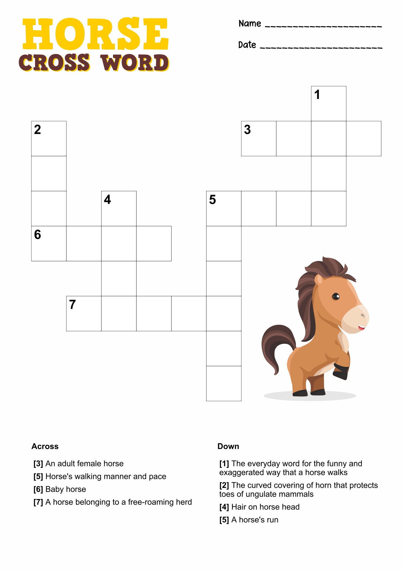 8 Points Of The Horse Worksheet Worksheeto