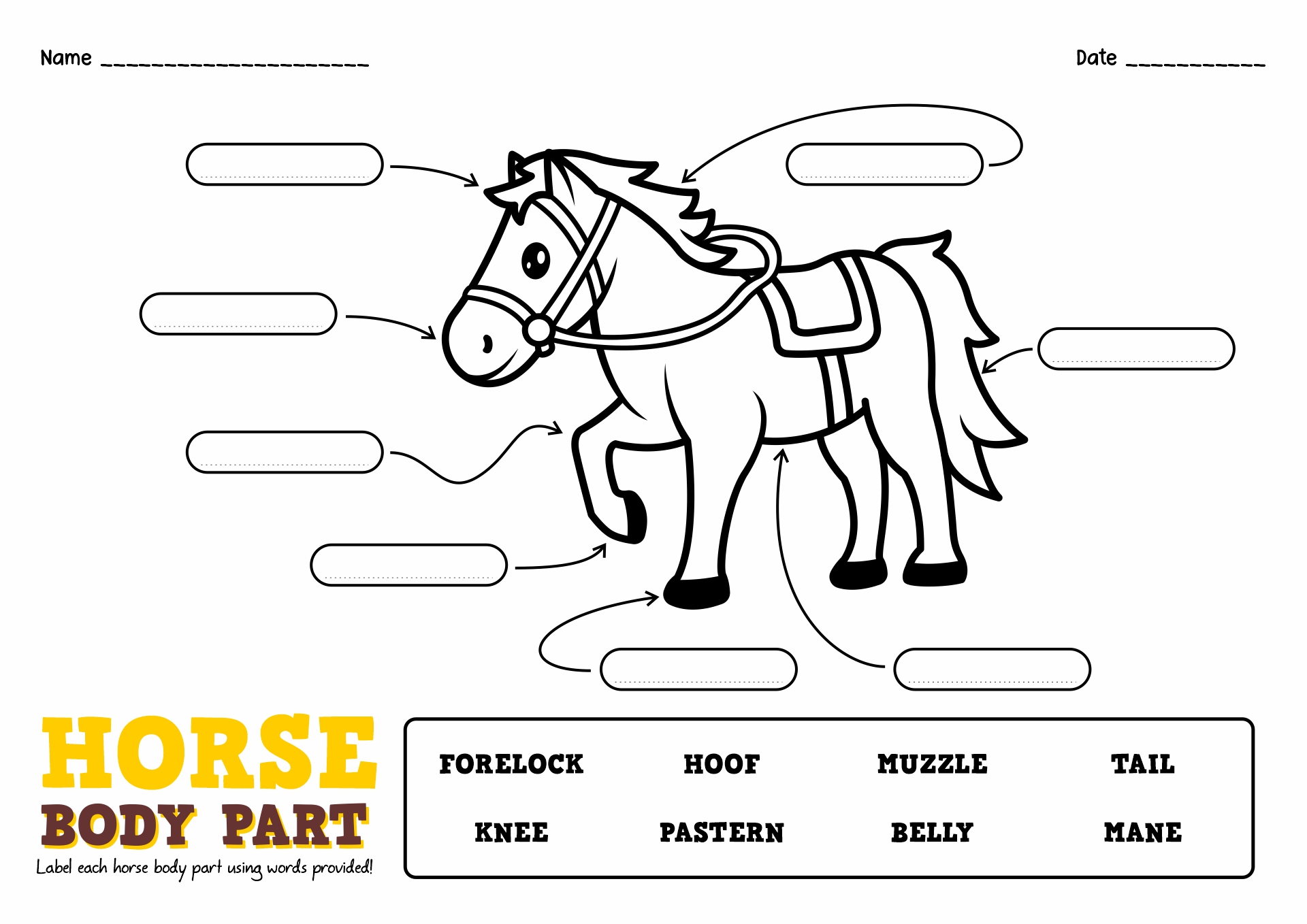 Horse Labeling Worksheet Image