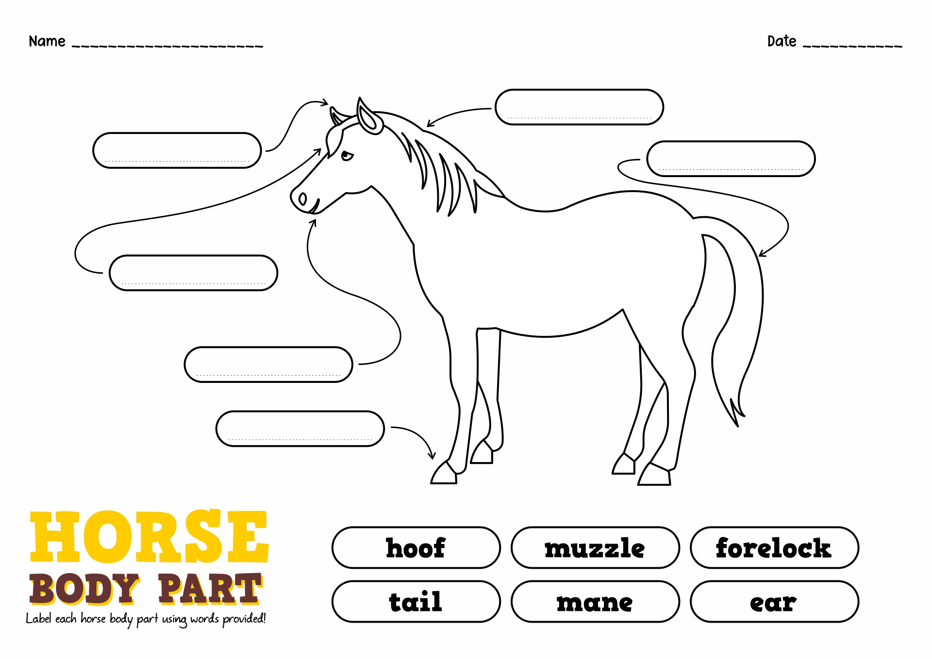Label the Horse Worksheet