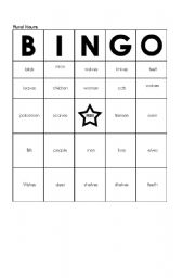 Singular and Plural Noun Bingo Image