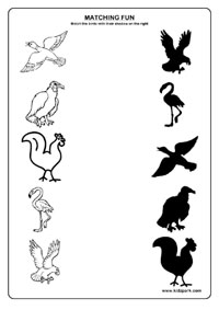 Worksheets On Birds Image