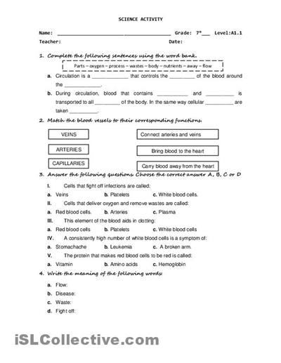 High School Science Worksheets