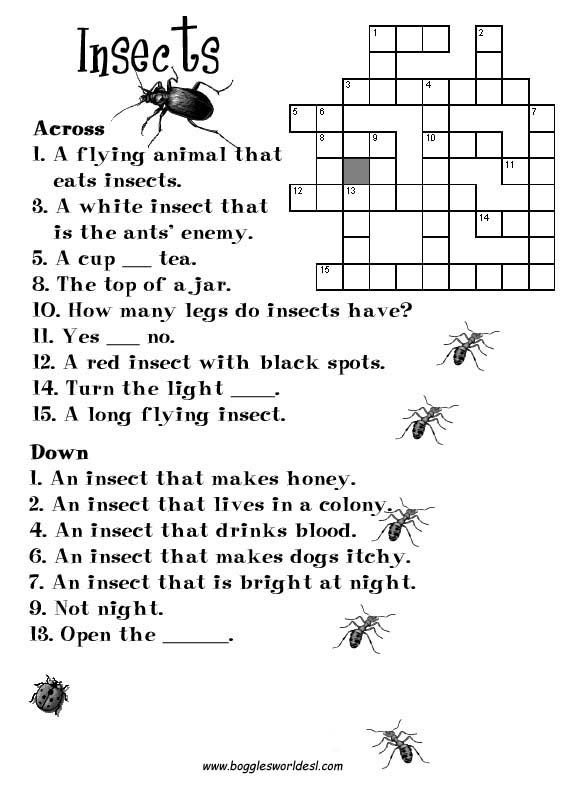 Insect Crossword Puzzle for Kids Image