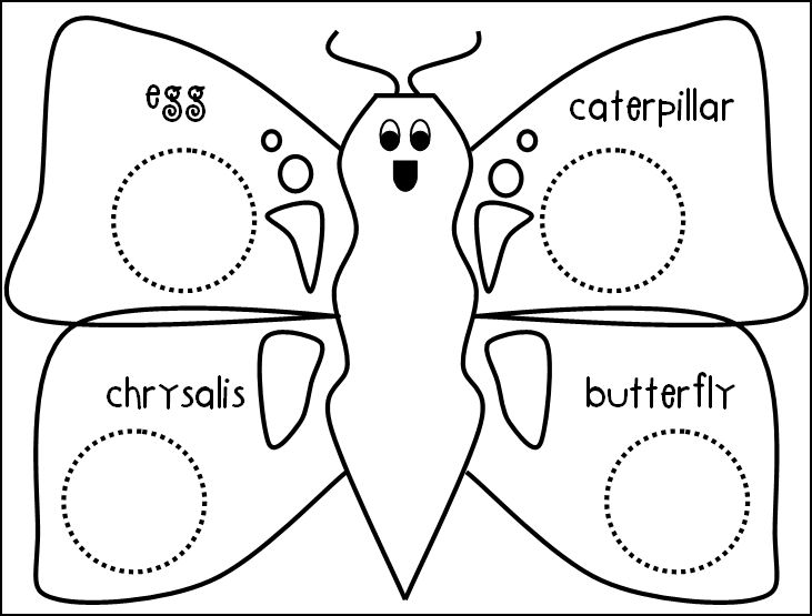 Preschool Butterfly Life Cycle Worksheet Image