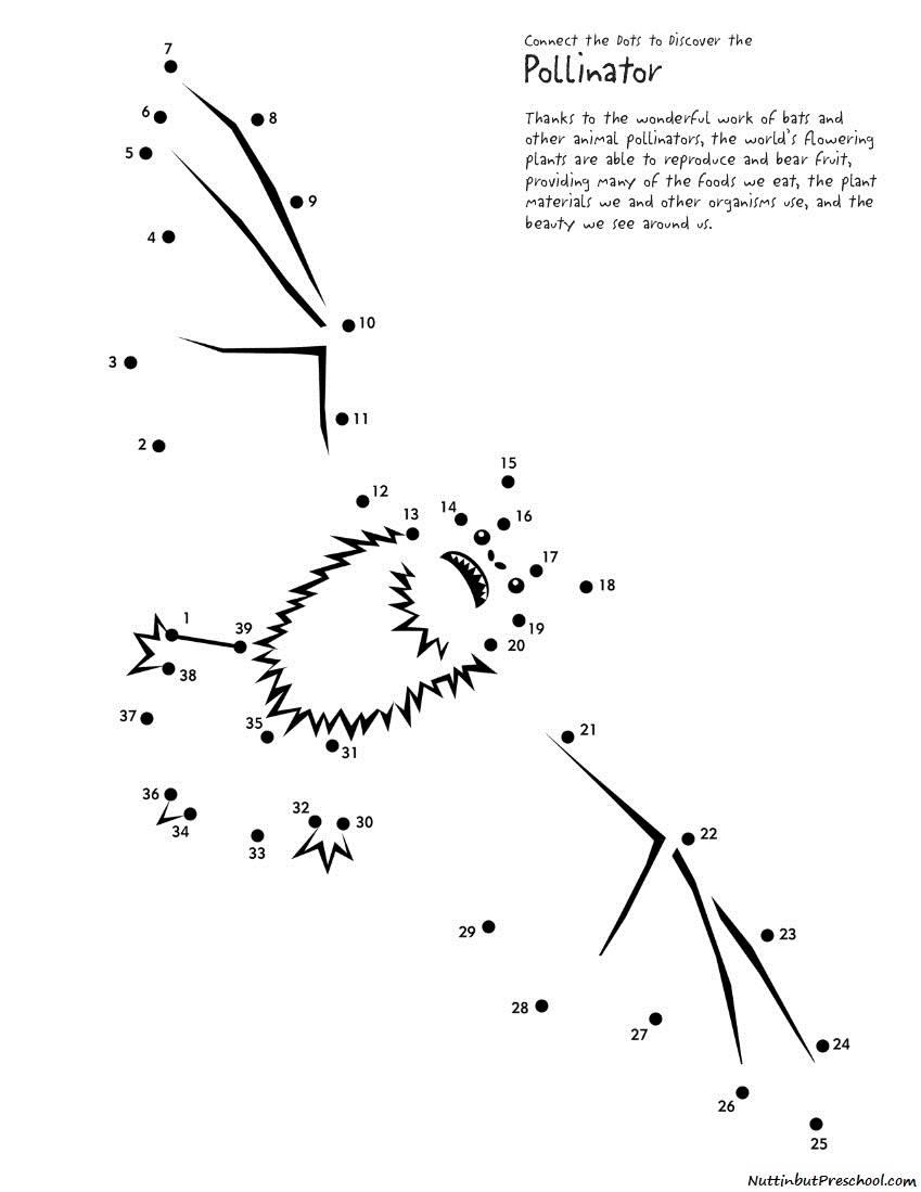 Preschool Connect the Dots Worksheets Image