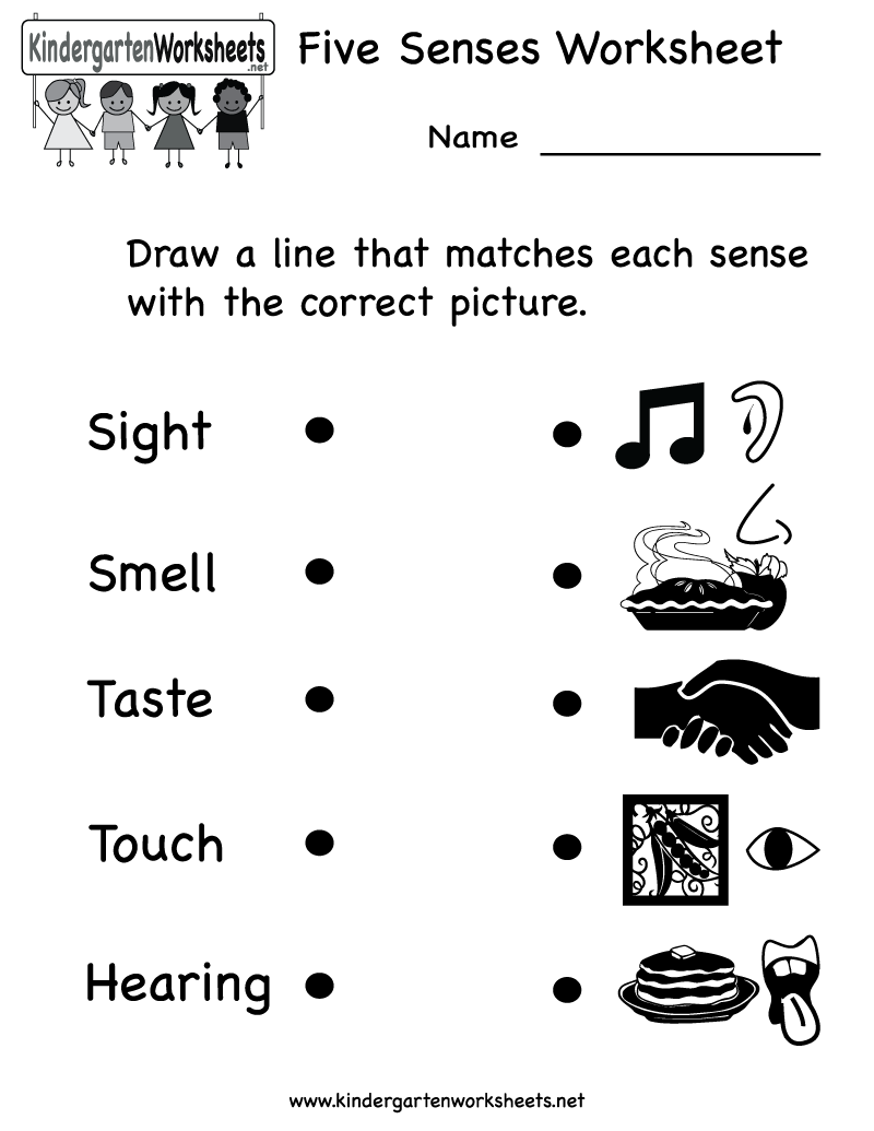 Printable Five Senses Worksheet Kindergarten Image