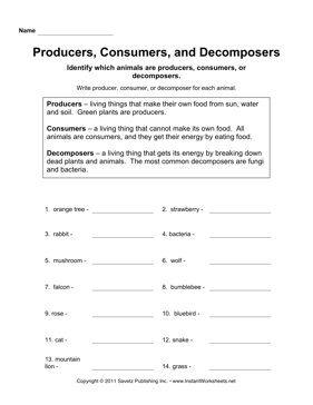 Producers Consumers and Decomposers Worksheet Image