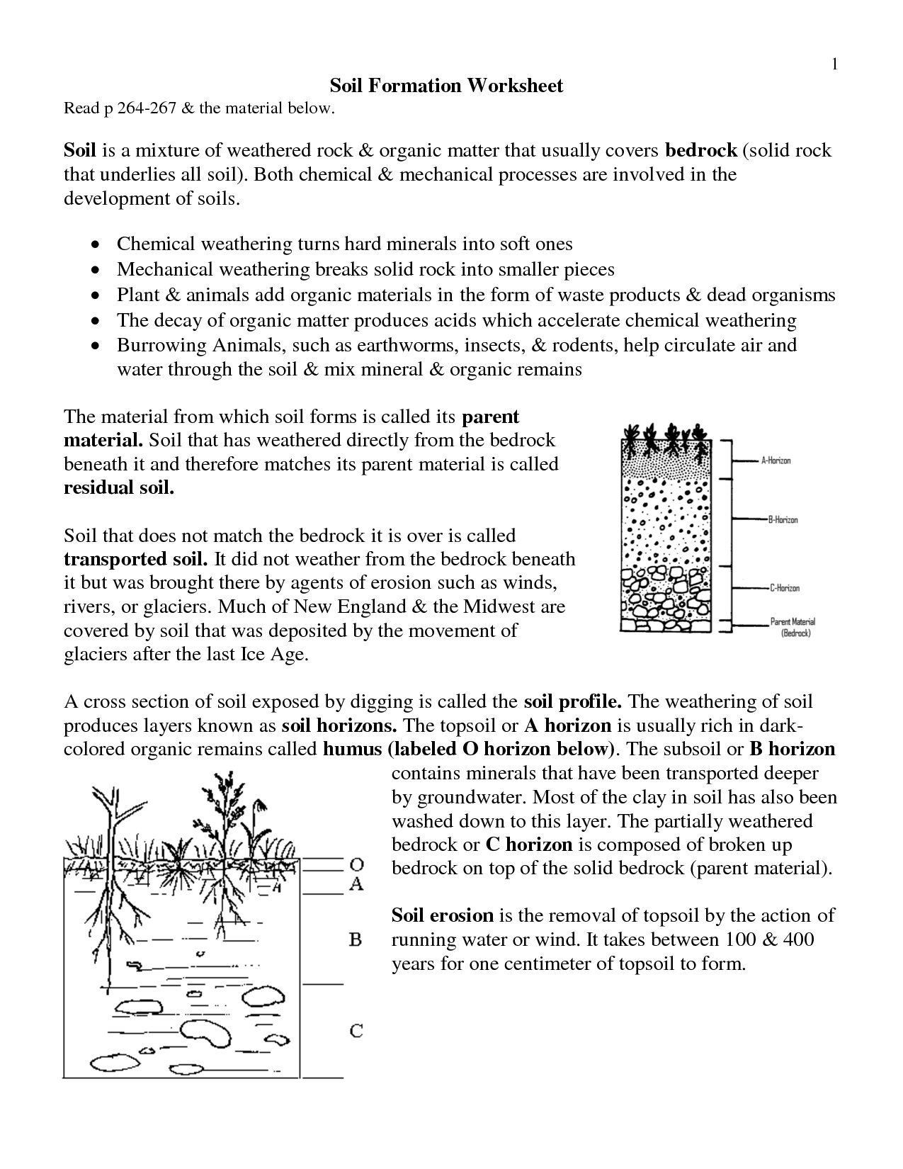 Soil Formation Worksheet Answers Image