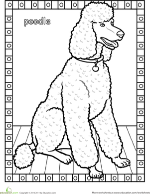 Poodle Coloring Pages Printable Image