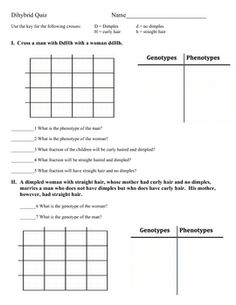 Dihybrid Punnett Square Practice Problems Answers Image