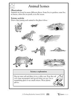 2nd Grade Science Printable Worksheets Image