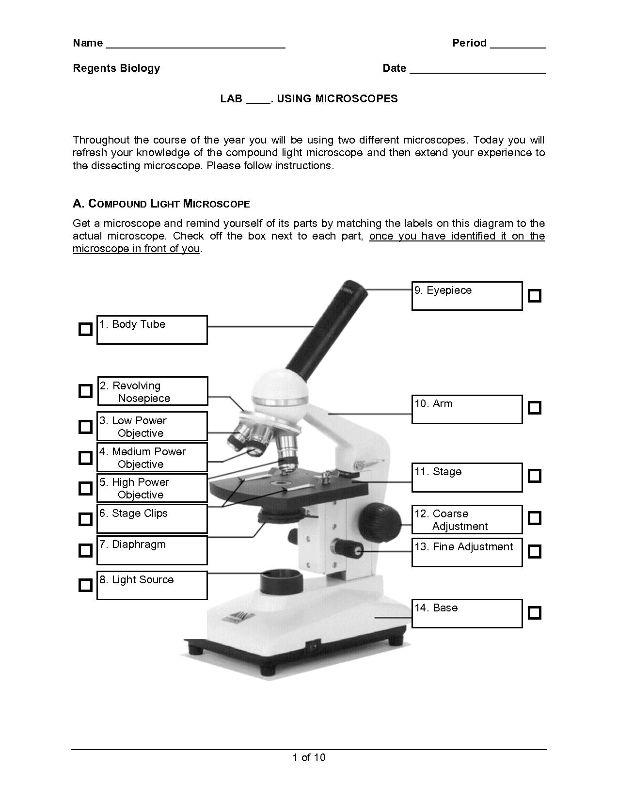 compound microscope assignment pdf