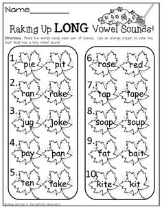 Long and Short Vowel Words Image