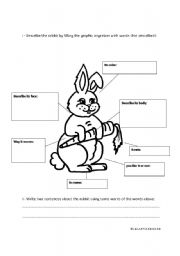 Rabbit Worksheets Image