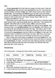 Bat Reading Comprehension Worksheets Image