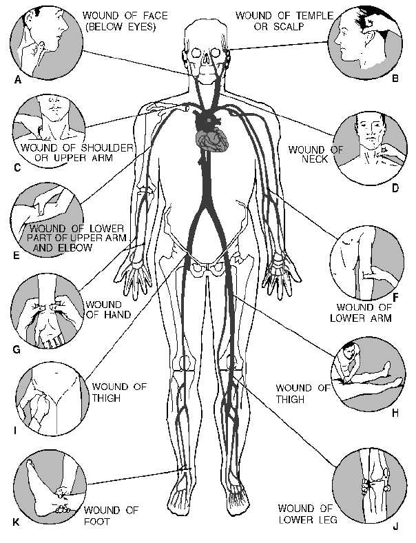 Body Pressure Points Image