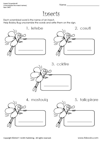 Insect Parts Worksheet 2nd Grade