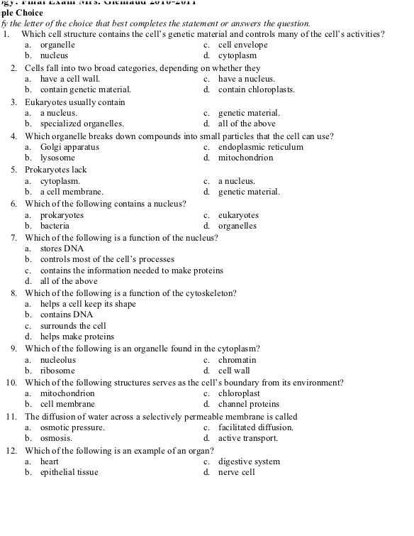 Cell Transport Worksheet Answer Key Review Image
