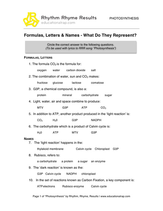 Photosynthesis Worksheets and Activities Image