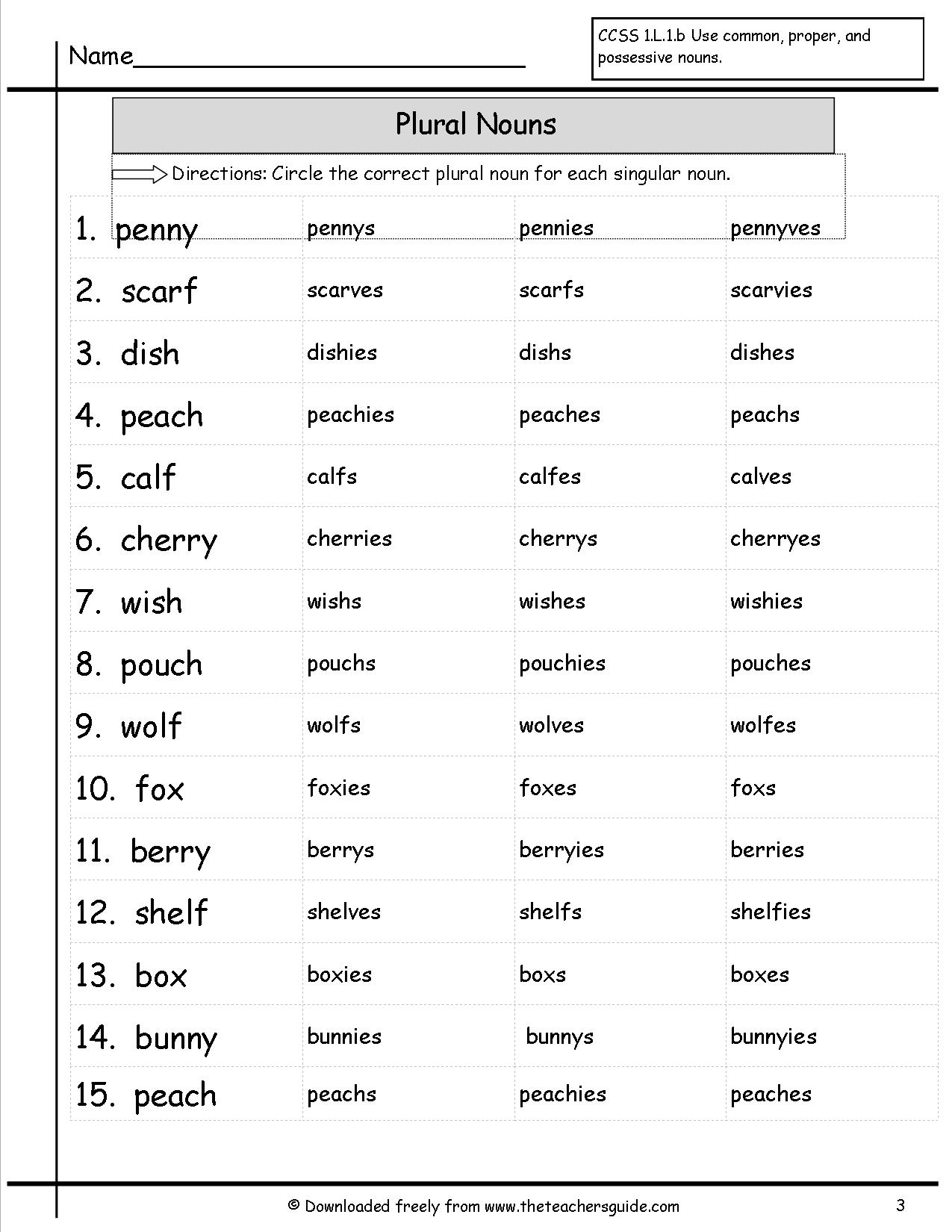 Irregular Nouns Plural Ves Ies Worksheet