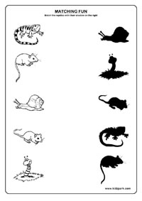 Reptile Worksheets First Grade Image
