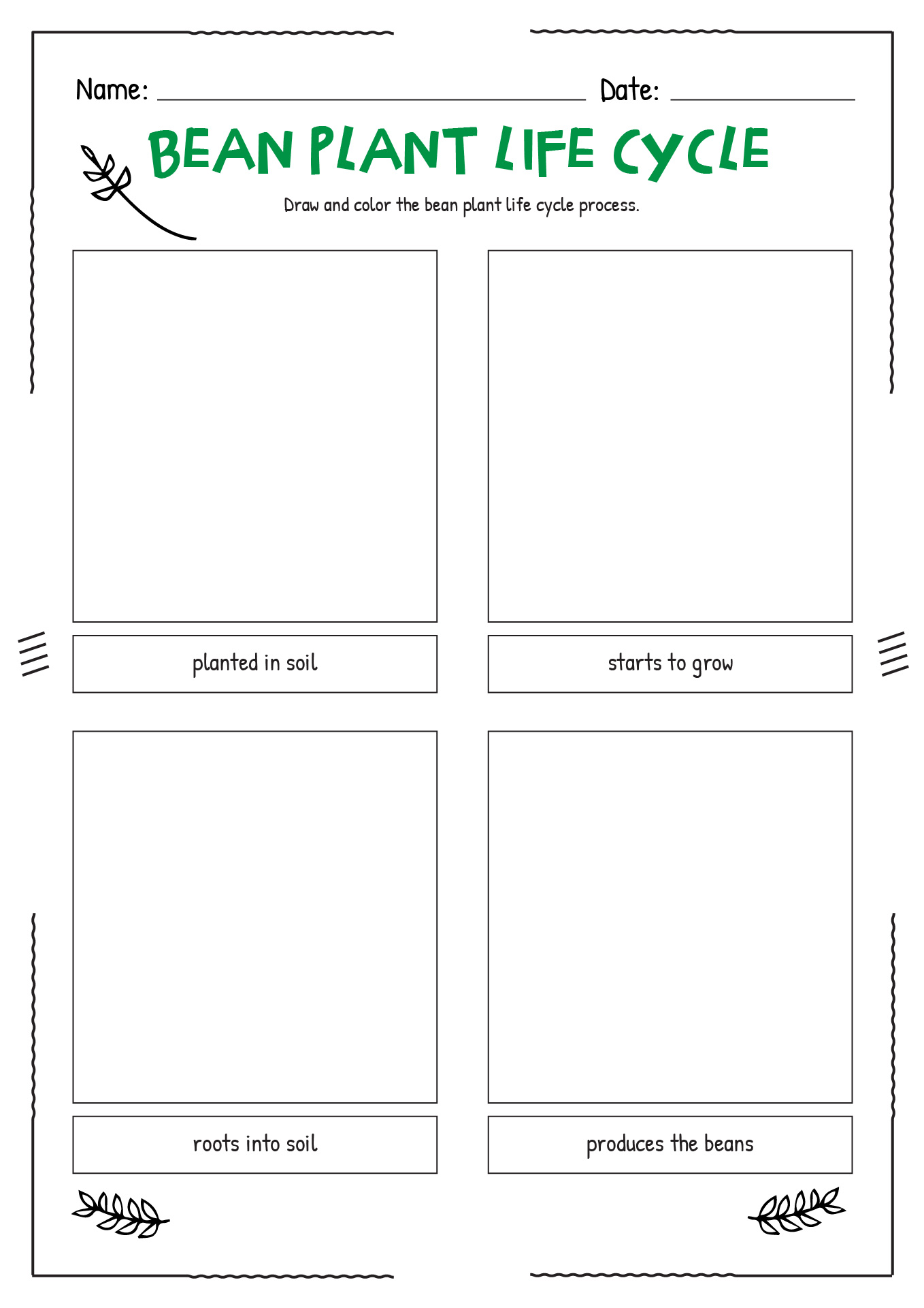 14 Plant Life Cycle Worksheet Kindergarten - Free PDF at worksheeto.com