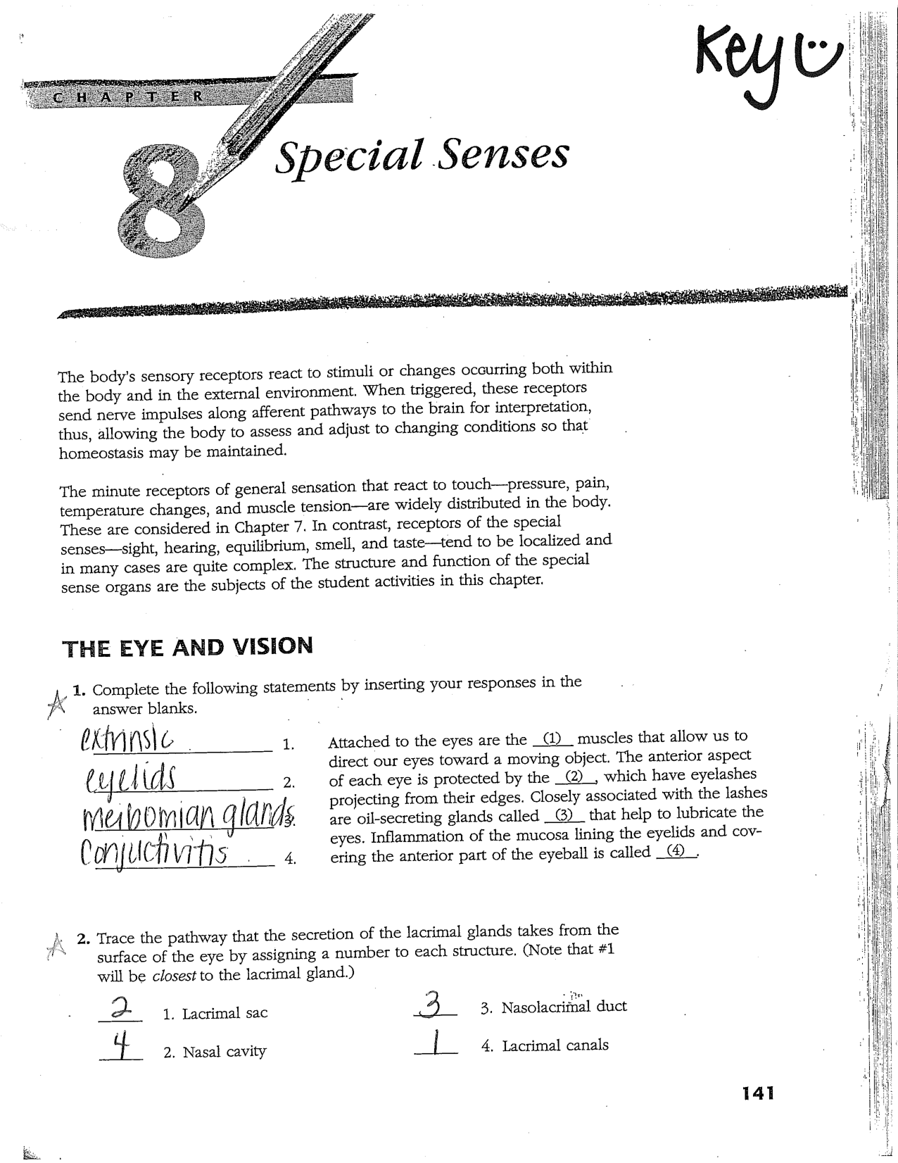 Special Senses Worksheet Answer Key