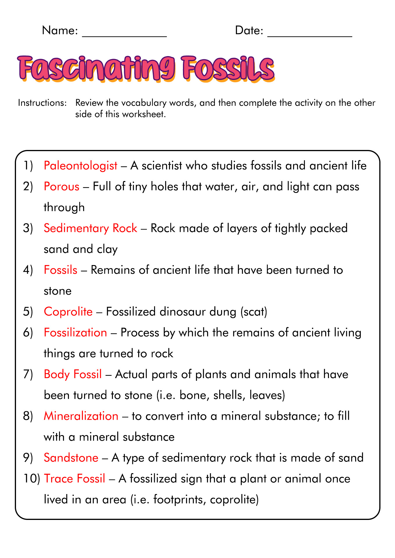 Fossil Activity Worksheet Answers Image