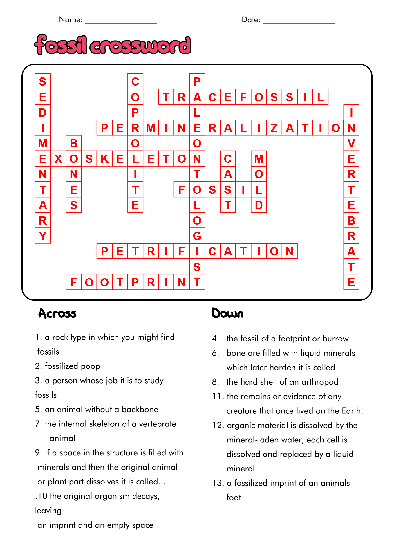 Fossil Crossword Puzzle Answers Image