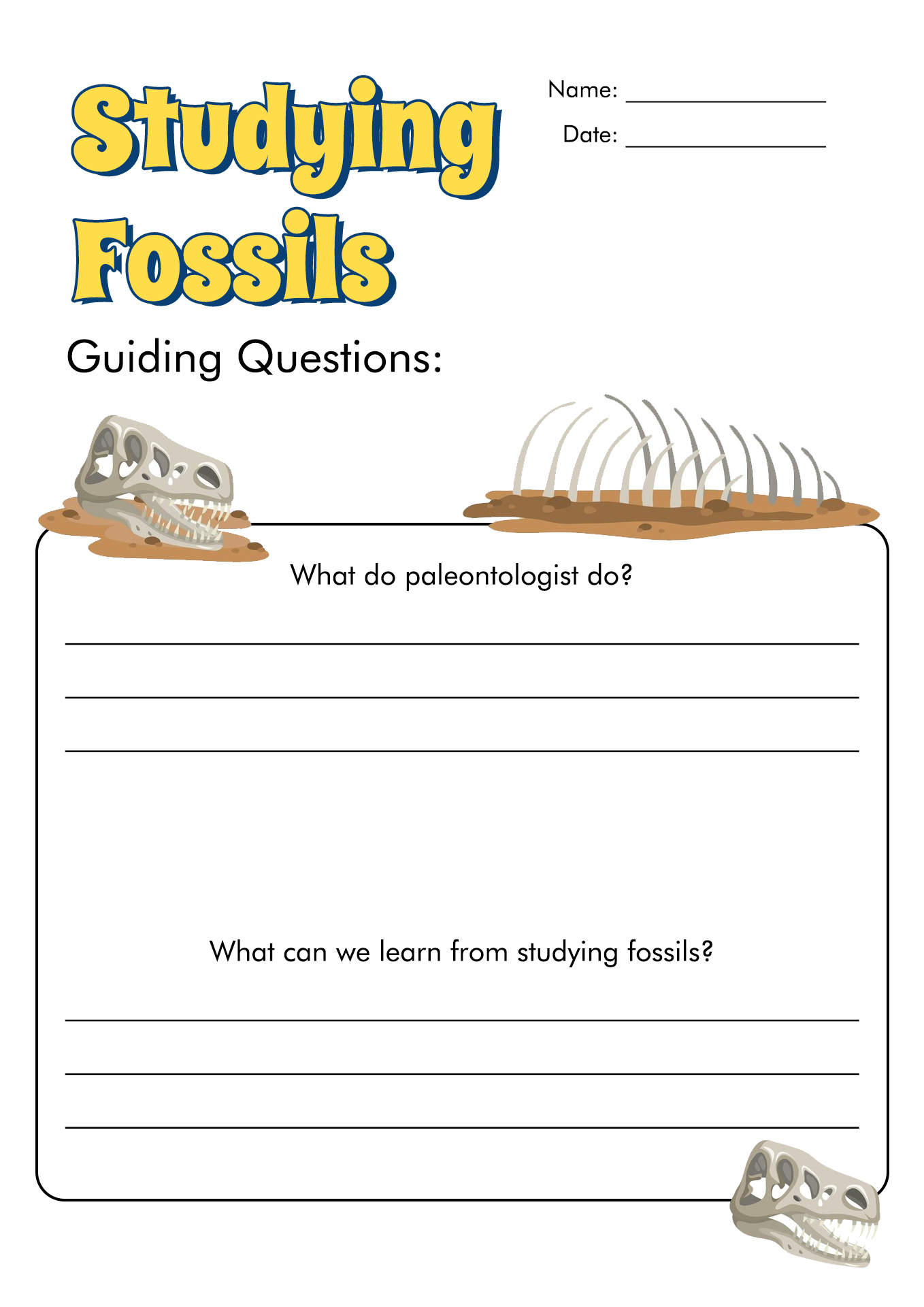 Fossil Record Worksheets Image