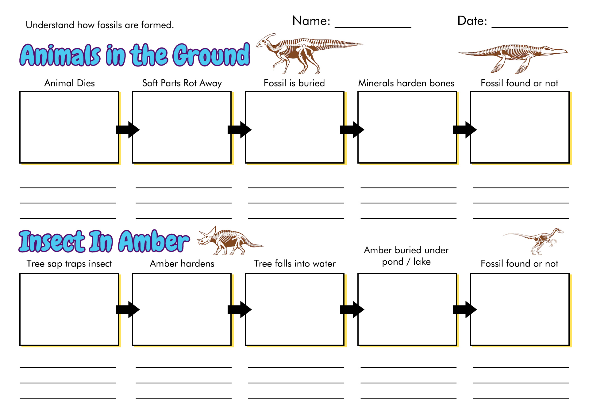 How Are Fossils Made Worksheet Image