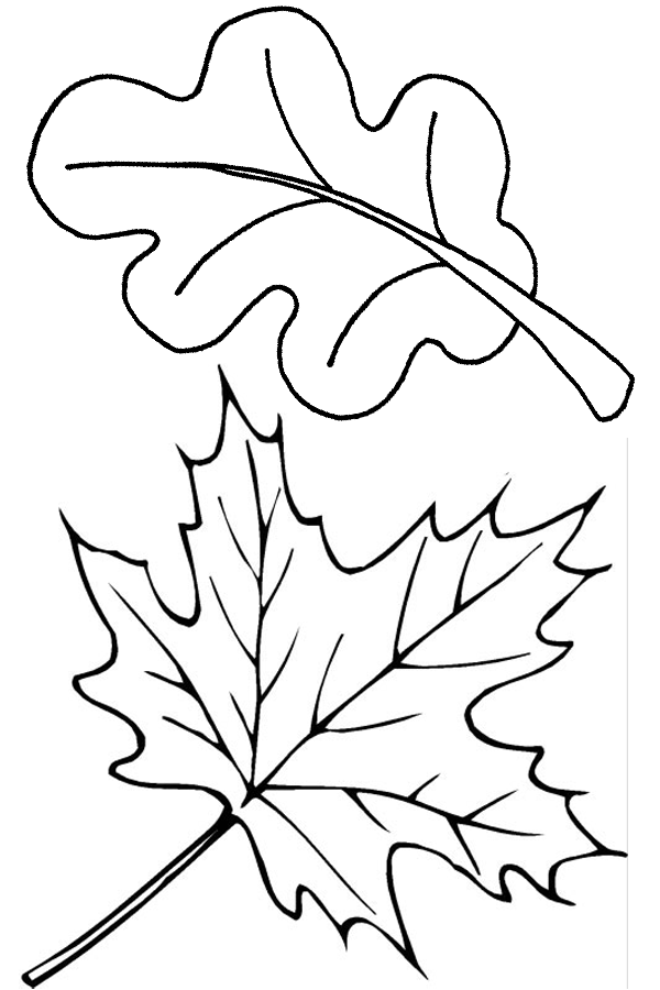 Printable Fall Coloring Pages - Print Image