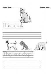 Writing Simple Sentences Worksheets Image