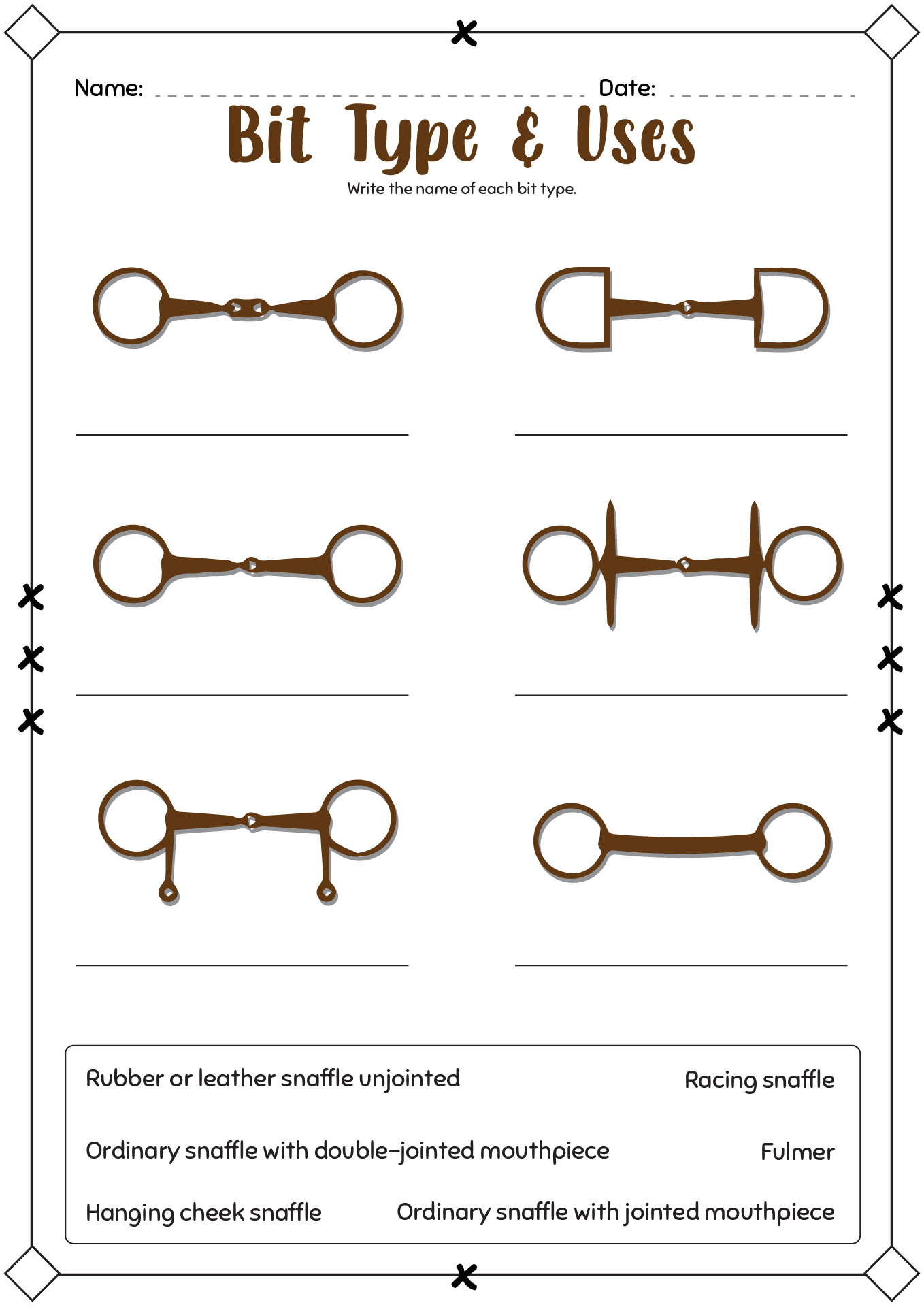 Horse Bit Types and Uses
