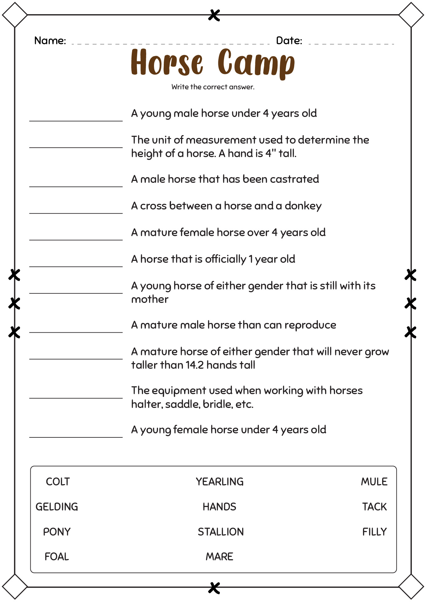Horse Camp Worksheets
