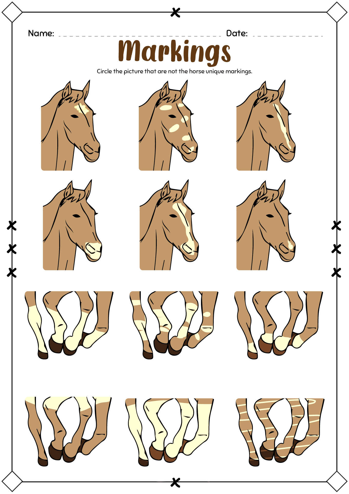 Horse Markings Worksheet