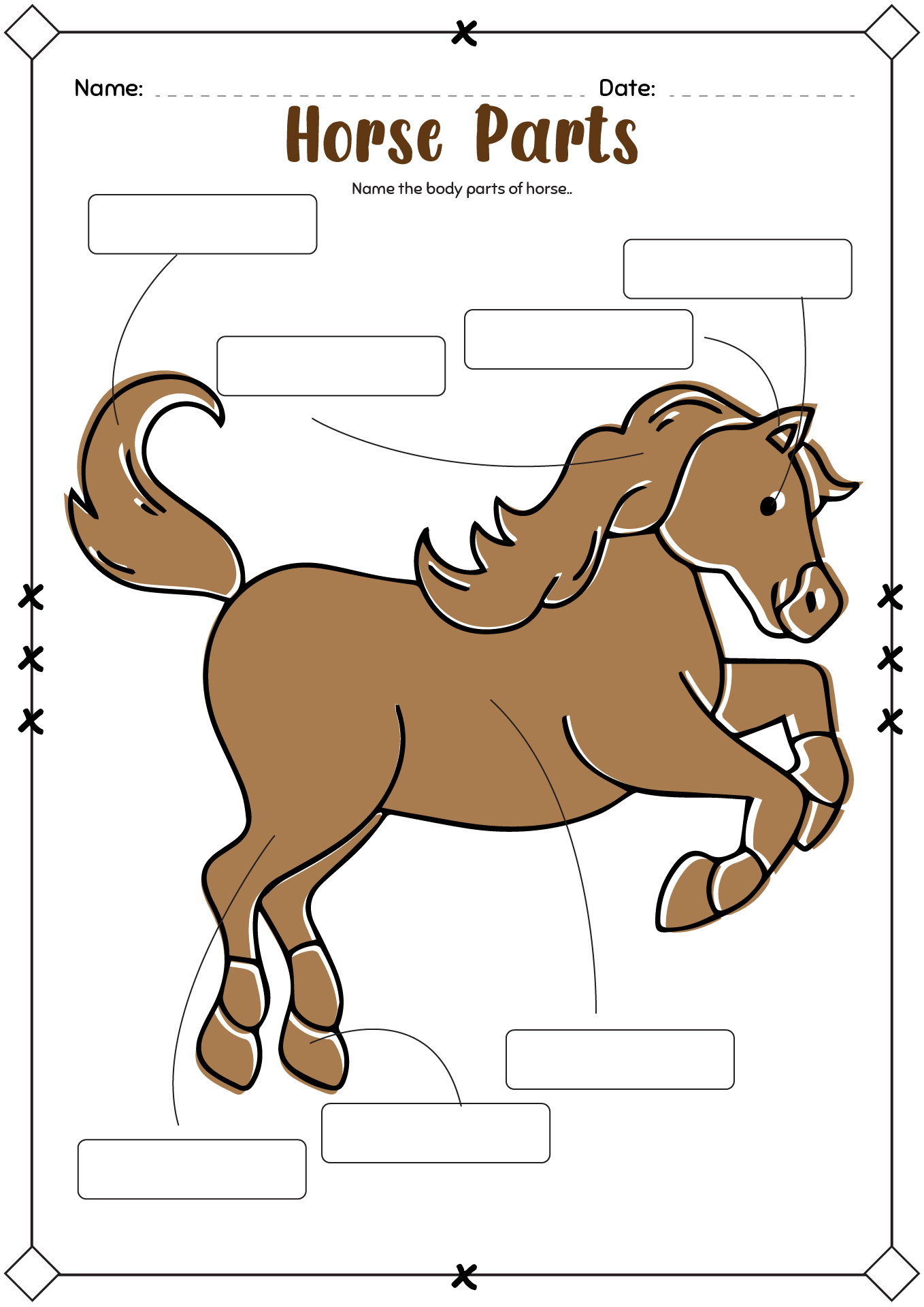 Horse Parts Worksheet Printable