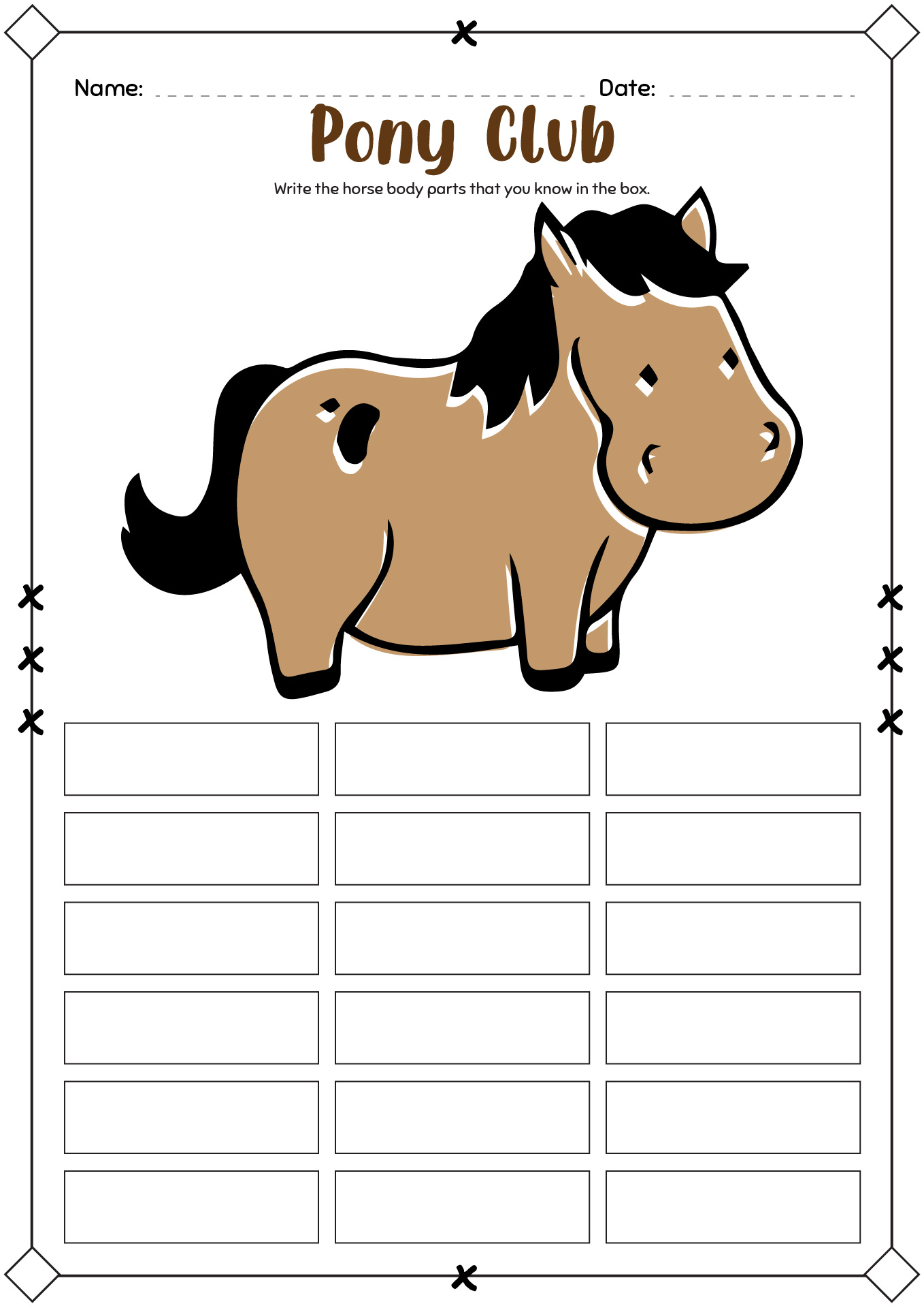 Horse Pony Club Worksheets