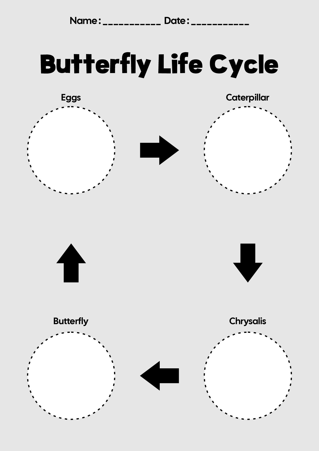 Welcome Spring Animal Lifecycle Worksheets for Preschool