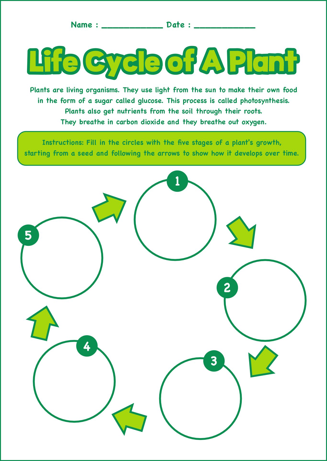 Welcome Spring Plant Lifecycle Worksheet 3rd Grade