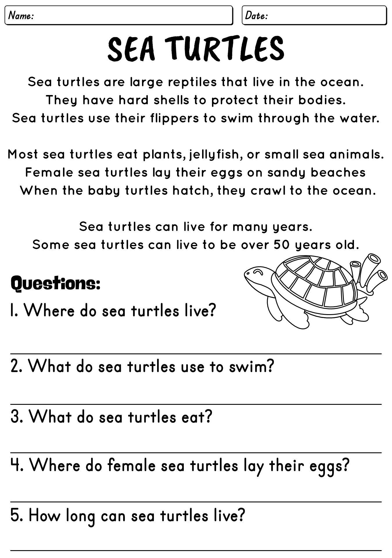 5th Grade Non-Fiction Reading Worksheets