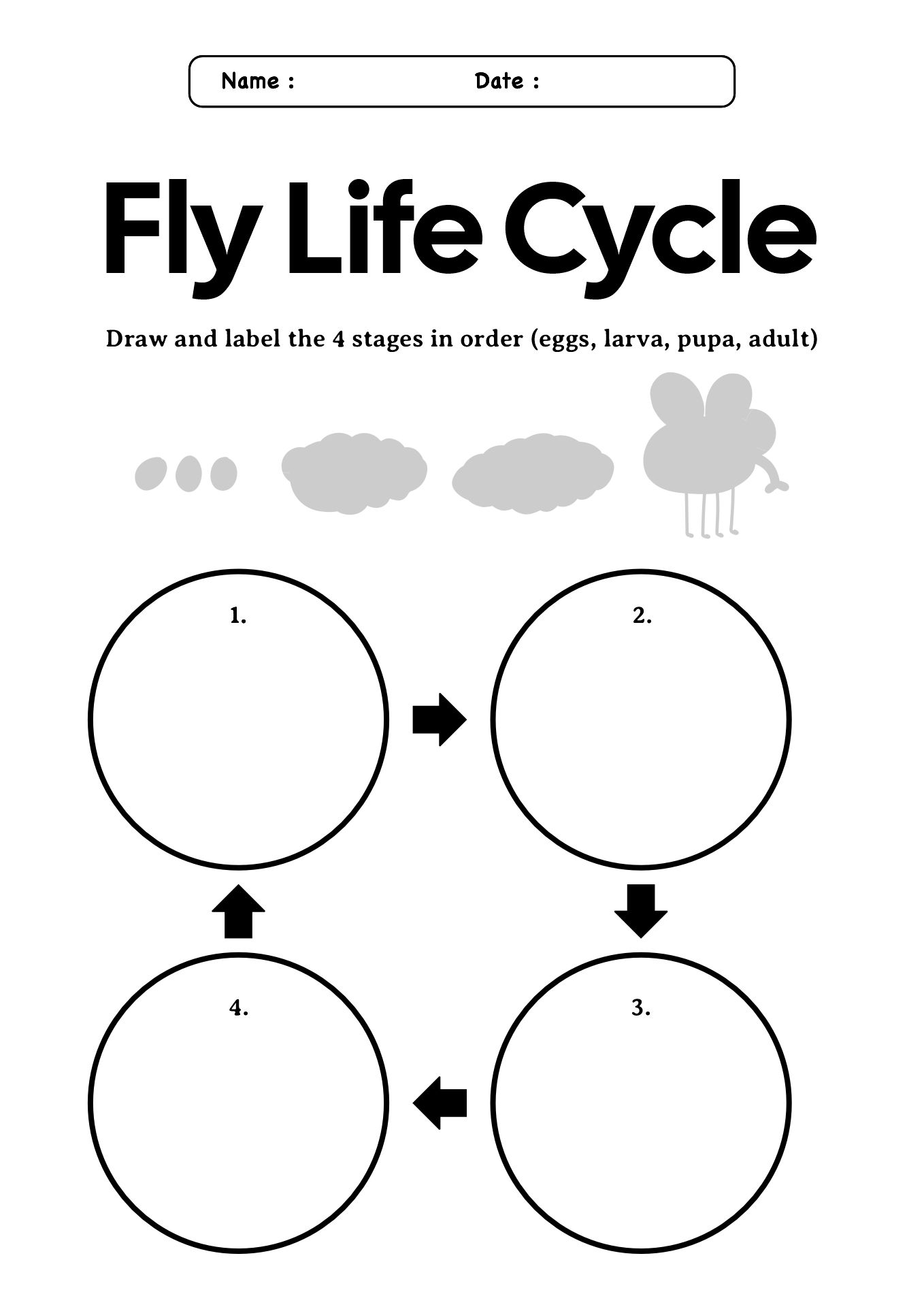 First Grade Science Worksheets on Animals
