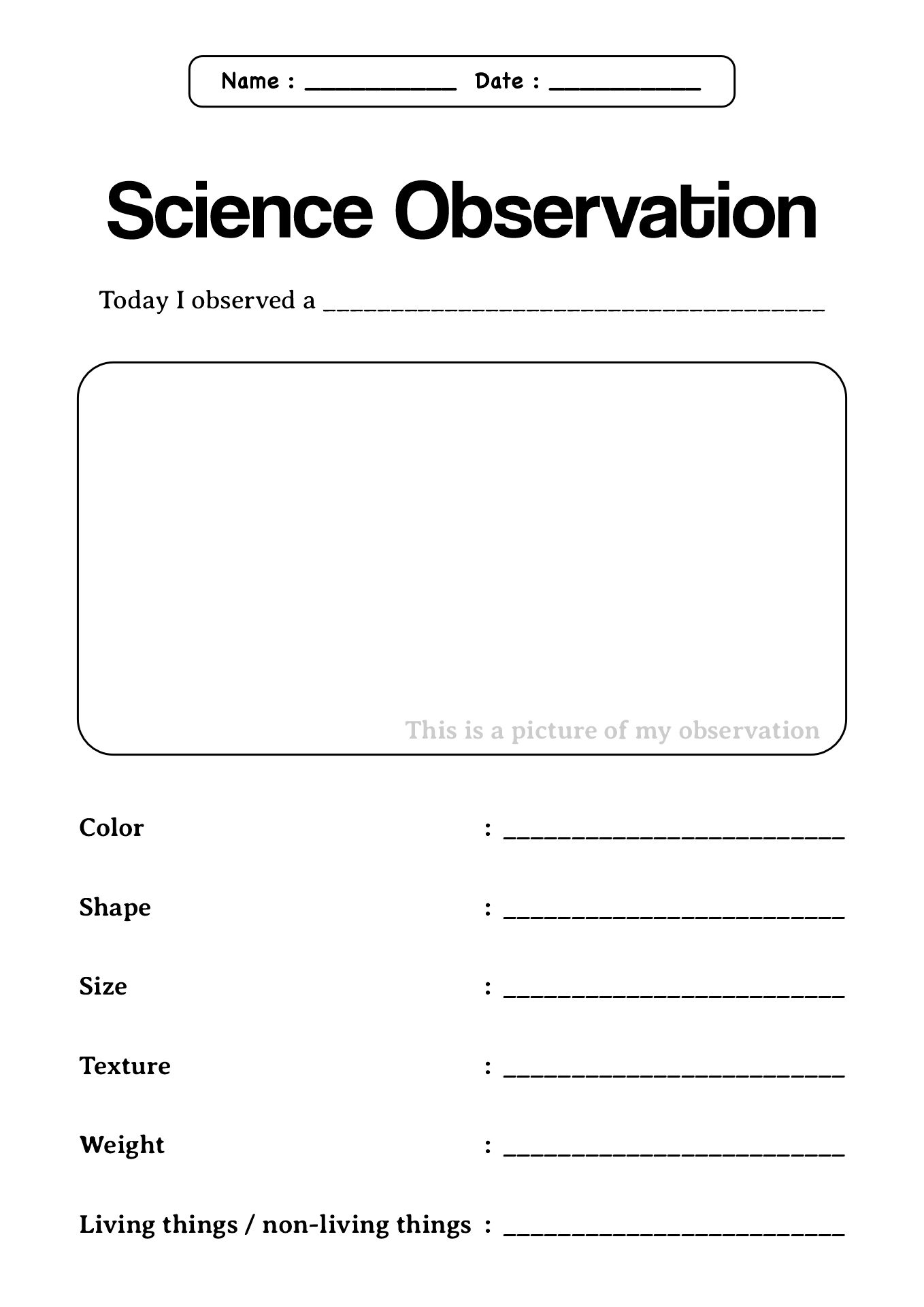 Grade 1 Science Observation Worksheets