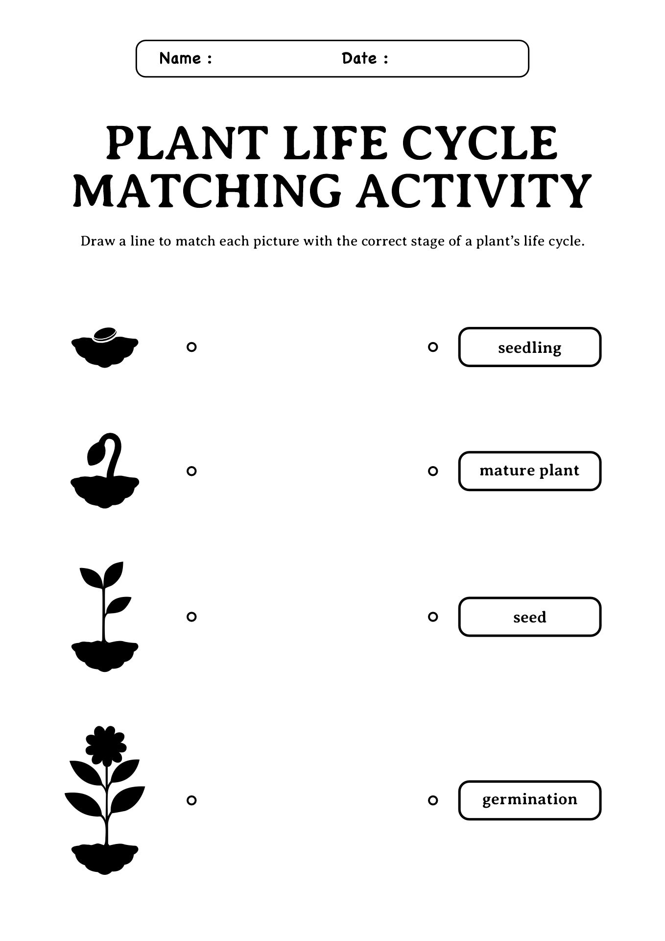 Science Worksheets for 1st Graders on Plants